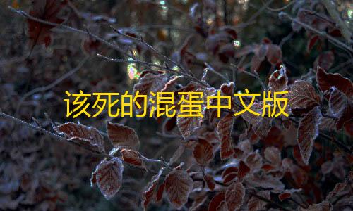 cf手游透视购买网站该死的混蛋中文版